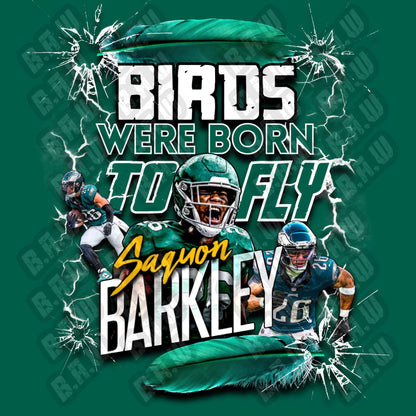 Birds Were Born To Fly - Philadelphia Football Fans Inspired High Quality DOWNLOADABLE PNG - for Sublimation DTF DTG Uvdtf Printing