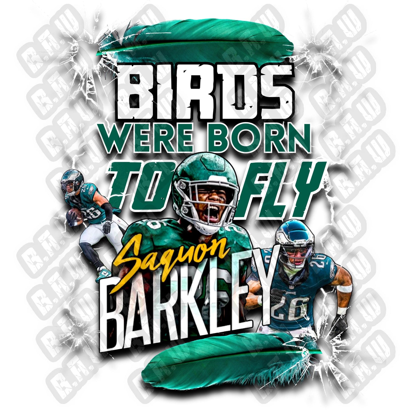 Birds Were Born To Fly - Philadelphia Football Fans Inspired High Quality DOWNLOADABLE PNG - for Sublimation DTF DTG Uvdtf Printing